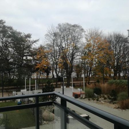 Ekskluzywny Apartament Zatoka Pucka Dış mekan fotoğraf